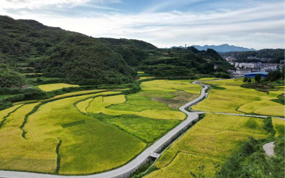 JDB电子·(中国区)试玩平台-JDB电子游戏官网