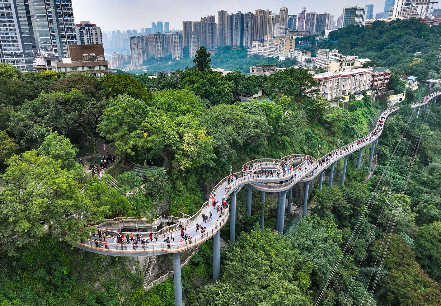 W020251117325162945493_ORIGIN