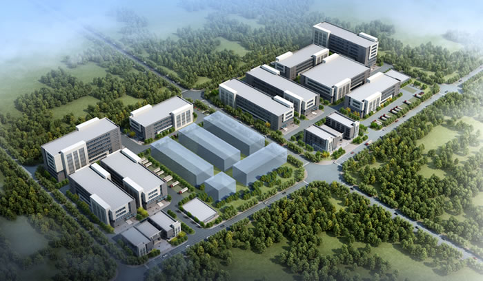 W020250815567809955647