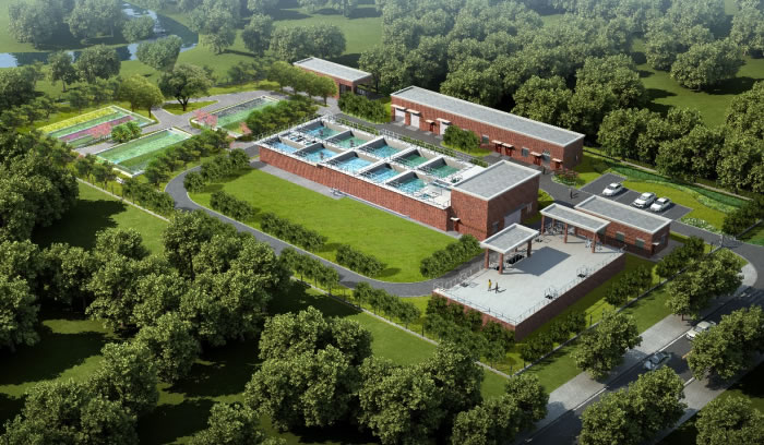 W020250815569890207376