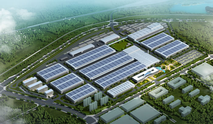 W020250815528208038528