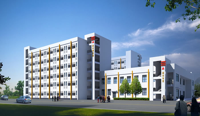 W020250815515459938711