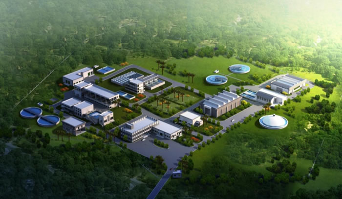 W020250815559184371874