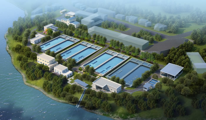 W020250815559257981450