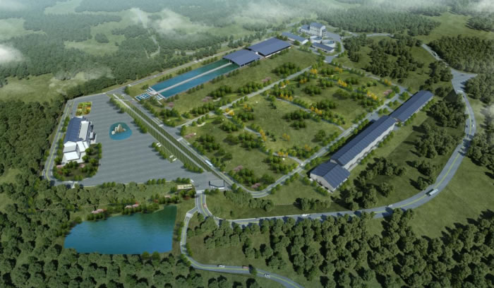 W020250815559381533936