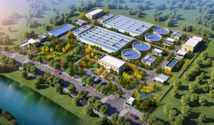 W020250815559442645410