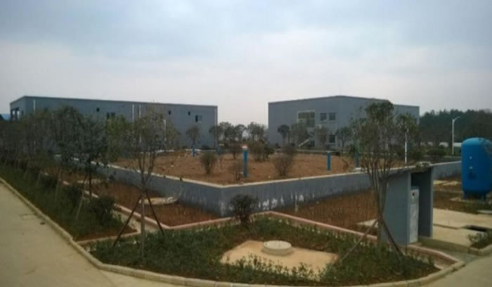 W020250815559637105330