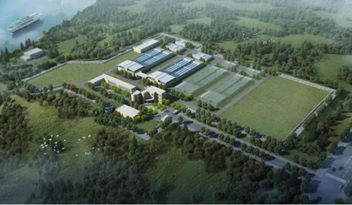 W020250815559716373368