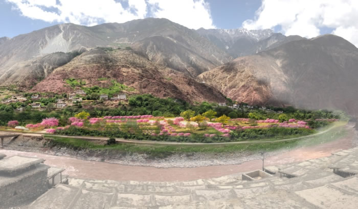 W020250815561041985619