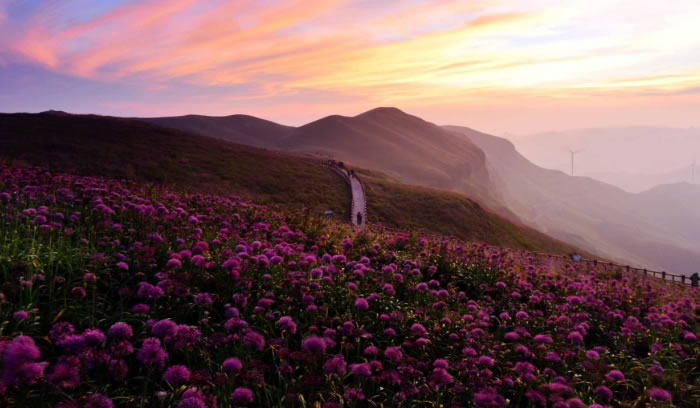 W020250815561092581347