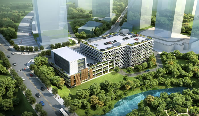 W020250815550024976262