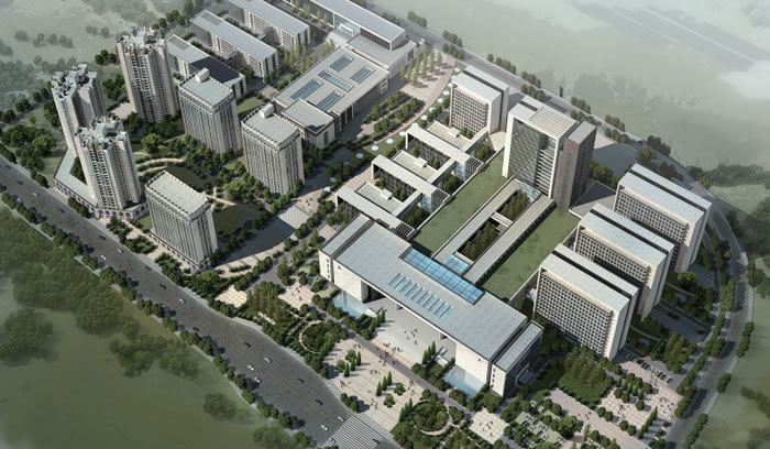 W020250815544252195206