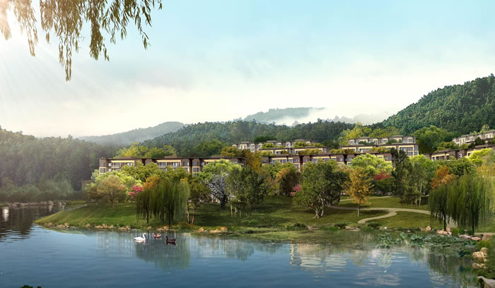 W020250815551280012196