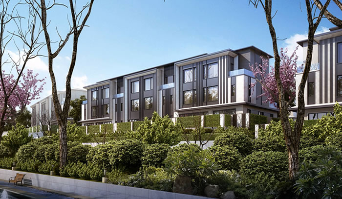 W020250815551480890419