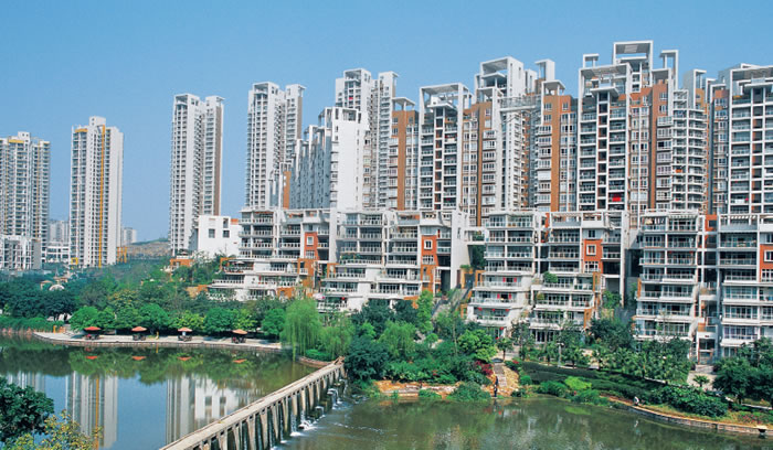 W020250815553276850992