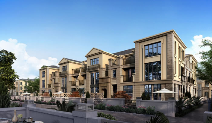 W020250815554272540565