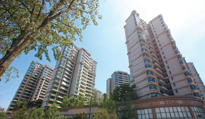 W020250815555447013699