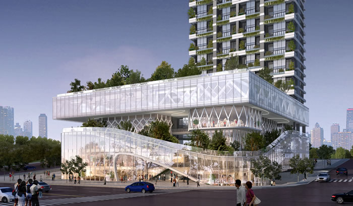 W020250815545552749377