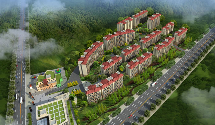 W020250815546609448723