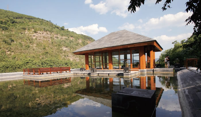 W020250815540619594919