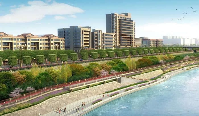 W020250815558543494529