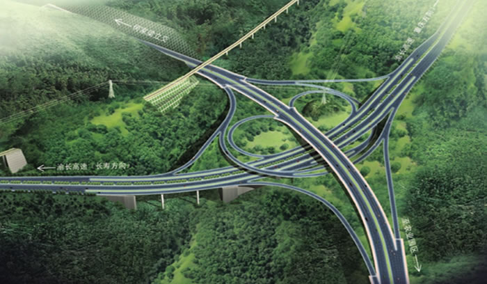 W020250815557721552272