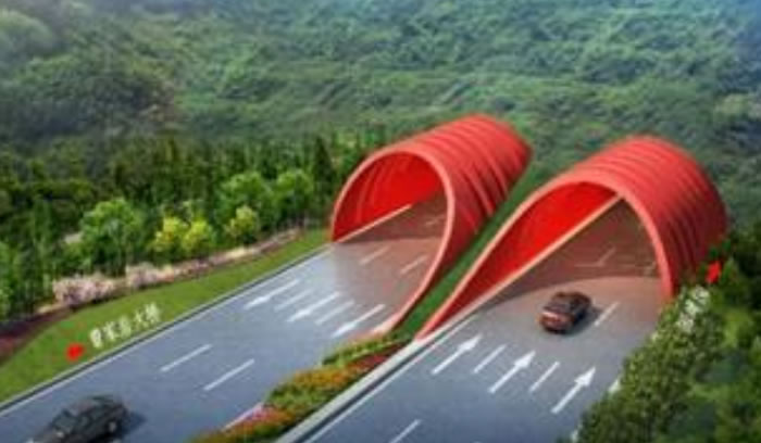 W020250815557973823155