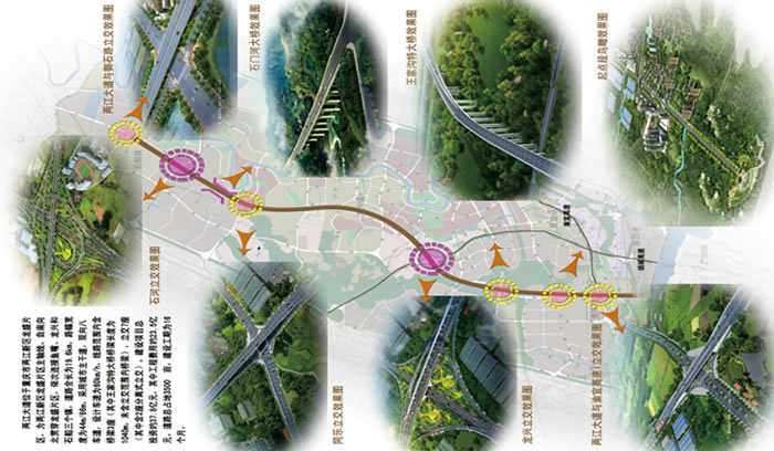 W020250815556528195852