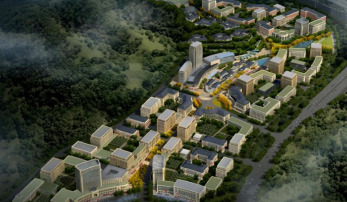 W020250815566663952902