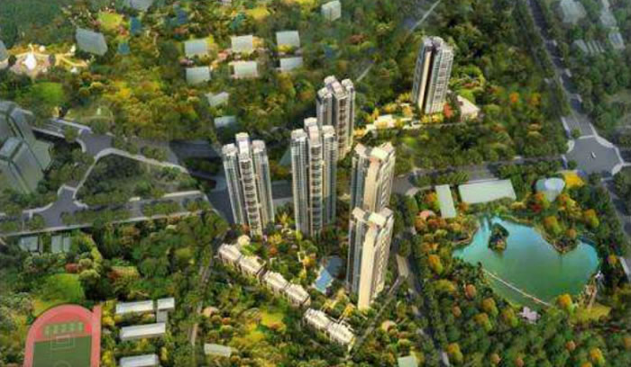 W020250815566289461224