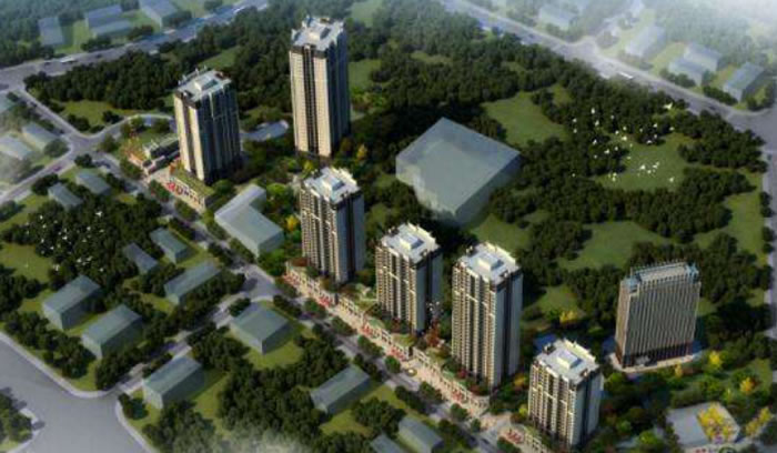 W020250815566538624502